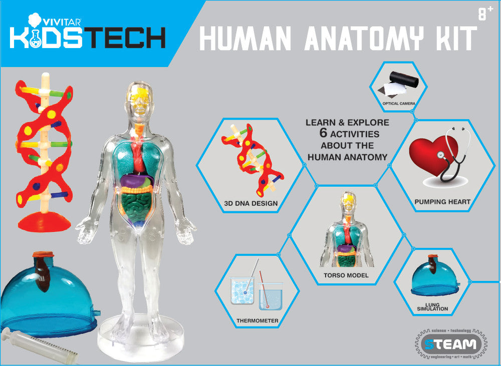 vivitar-human-anatomy-kit-anatomie-lernset-6-teilig image 2