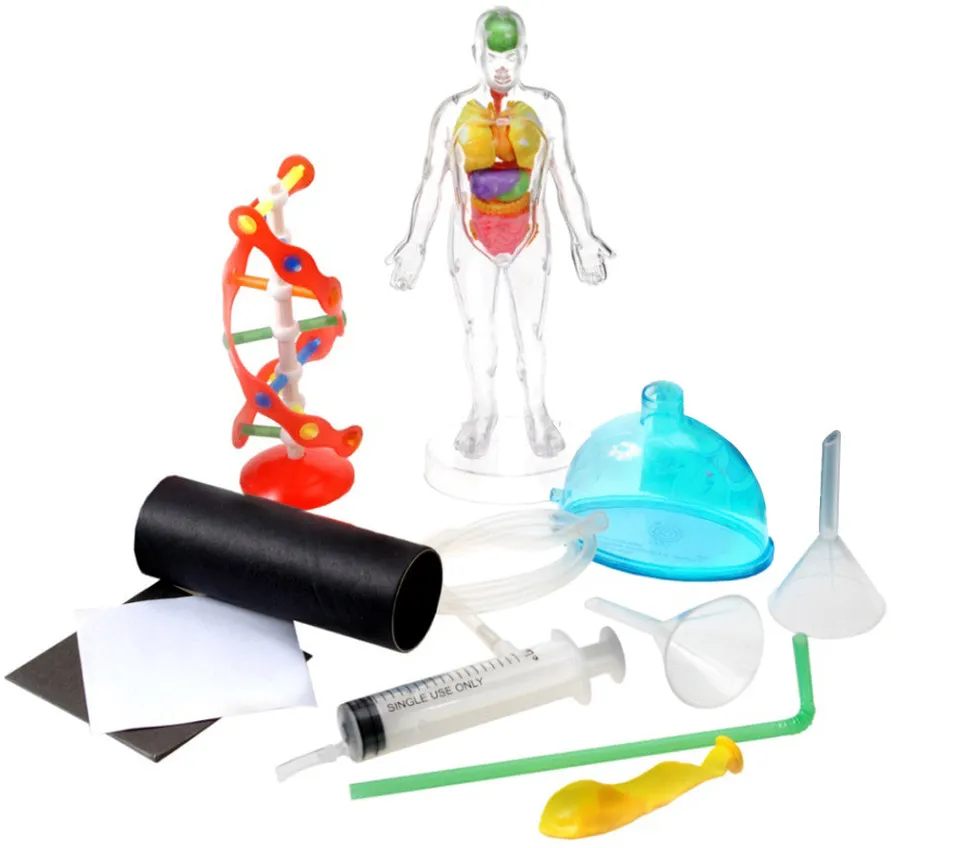 vivitar-human-anatomy-kit-anatomie-lernset-6-teilig image 1