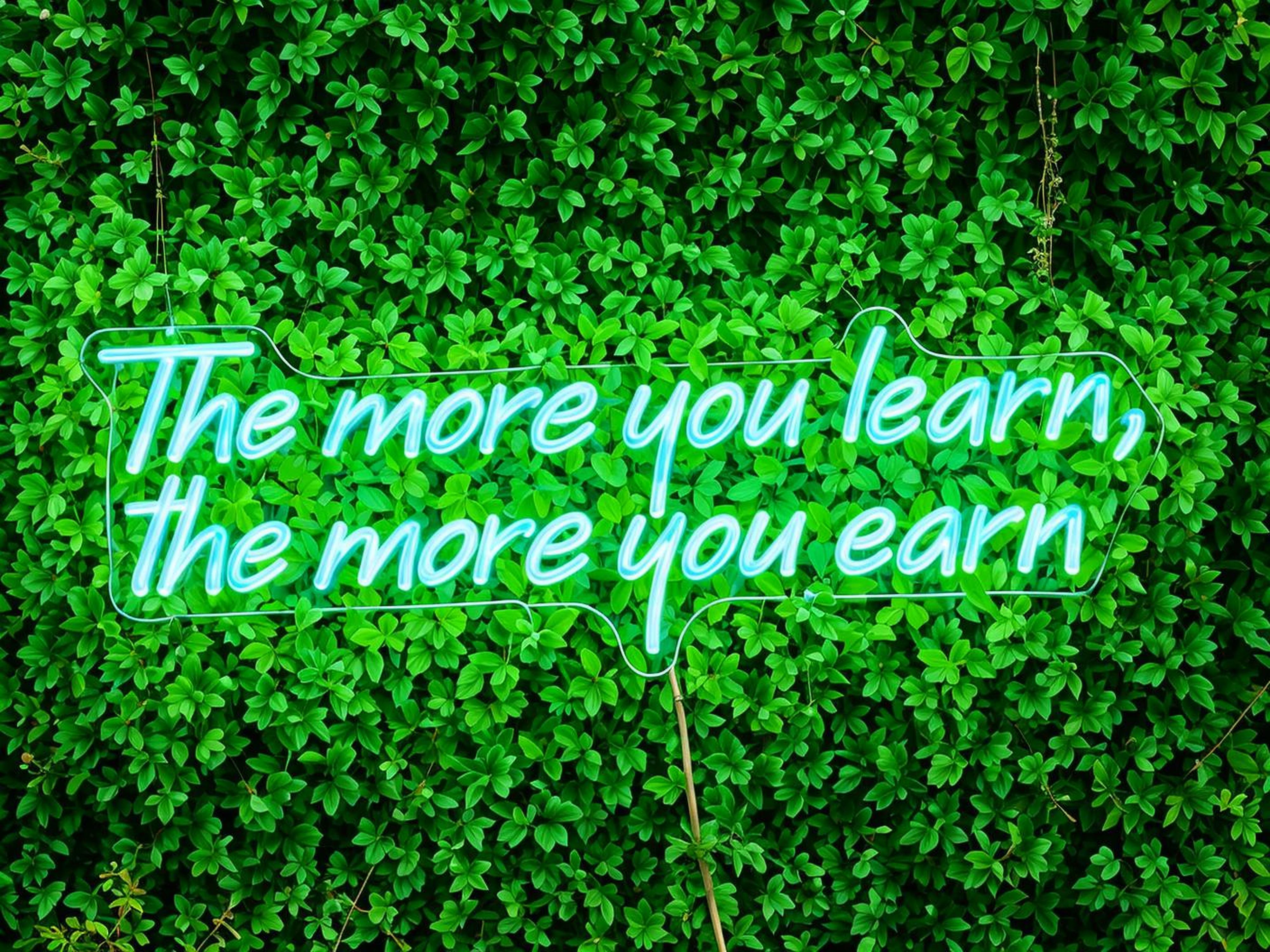 quntis-neon-signs-learn-earn-neonschild-30-zoll-led-text image 3
