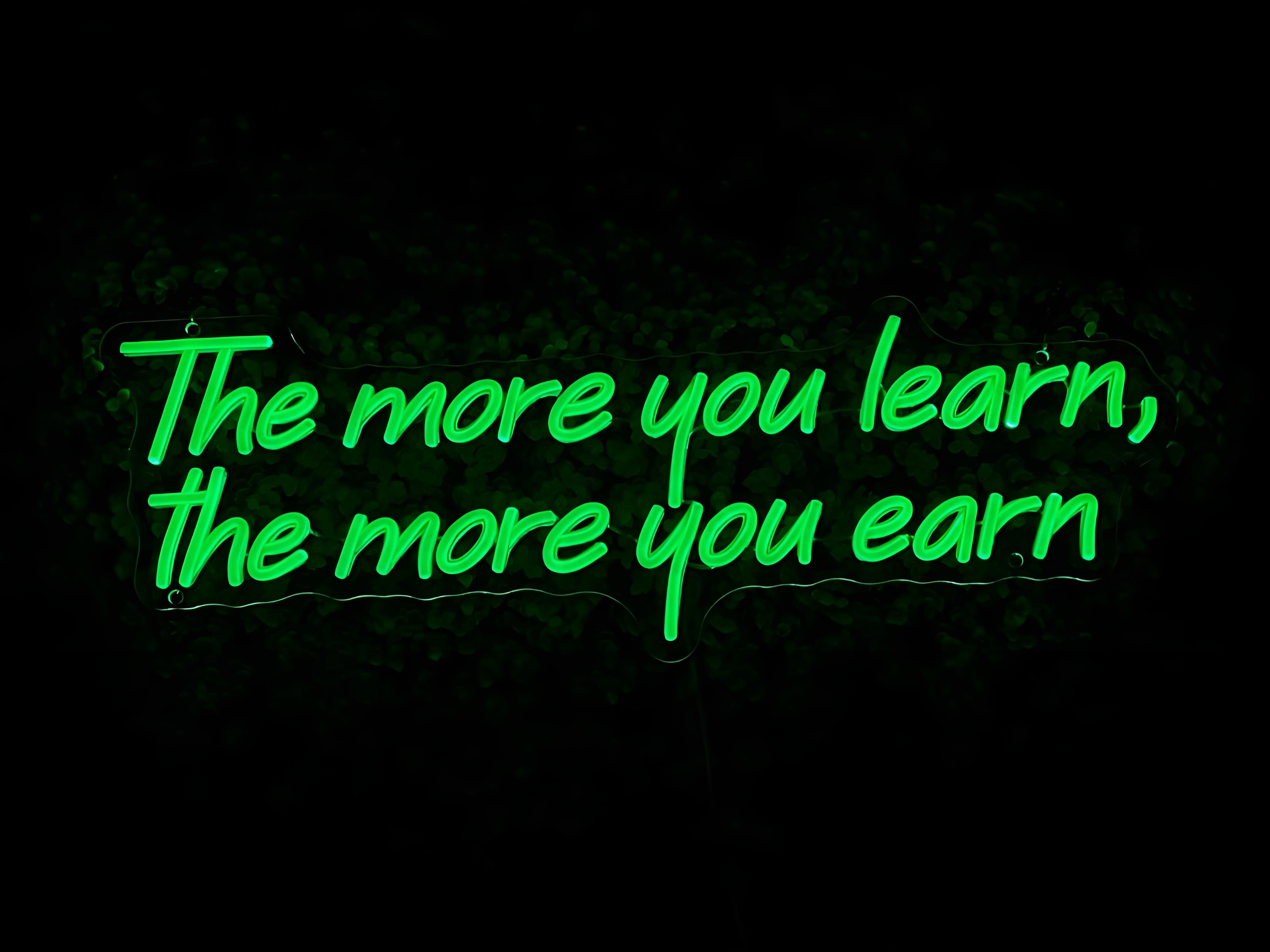 quntis-neon-signs-learn-earn-neonschild-30-zoll-led-text image 2
